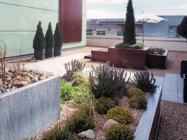 <span class="semi"><a href="/artwork/view/116">Library Roof Garden ( Landscape 2005 )</a></span>