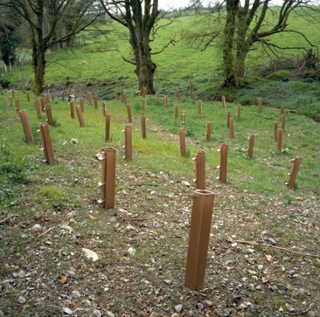 <span class="semi"><a href="/artwork/view/118">Disputed Territory "Plantation, S. Armagh, Ireland" ( Chromogenic Print )</a></span>
