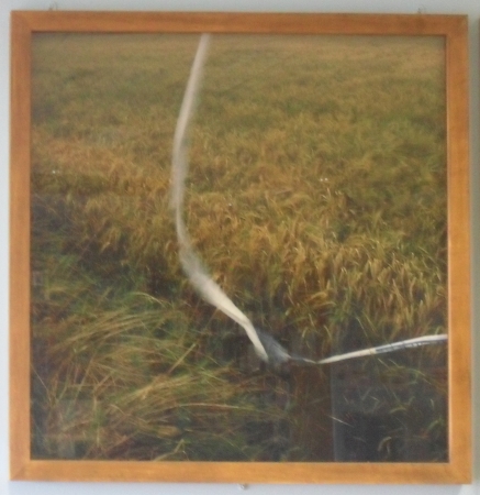<span class="semi"><a href="/artwork/view/5">Innocent Landscape, Templetown(Co.Louth) ( C-Type Photography 1999 )</a></span>