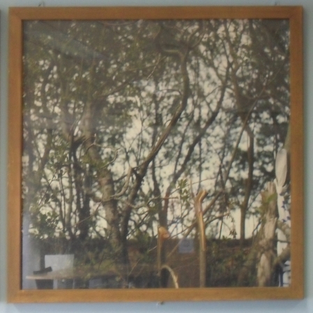 <span class="semi"><a href="/artwork/view/7">Innocent Landscapes, Oristown ( C-Type Photography 2002 )</a></span>