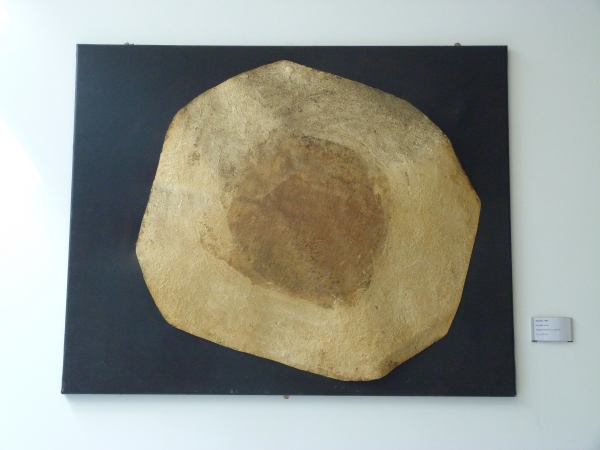 <span class="semi"><a href="/artwork/view/9">Abstract 1969 ( Painted glass fibre form on canvas 1969 )</a></span>
